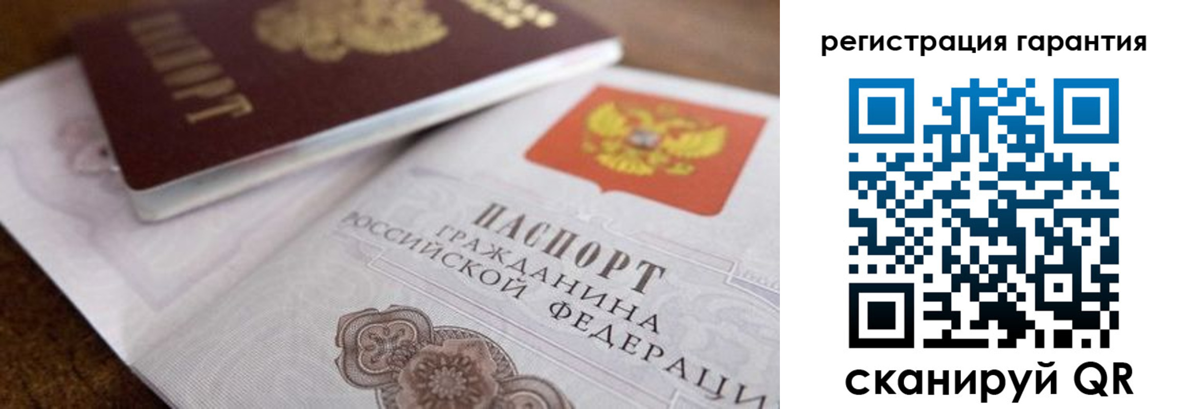 прописка штамп в Светлогорске